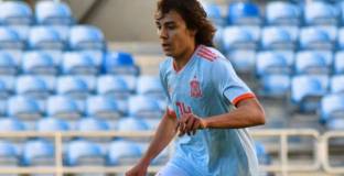  Играч на Щурм погълна пчела и няма да играе срещу Спортинг