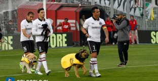 Коло Коло с акция в защита на изоставените животни 