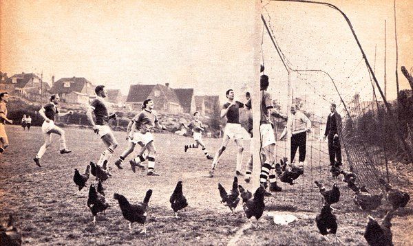 1950 година. Кокошки по време на мач между Суиндън и Блекбърн.