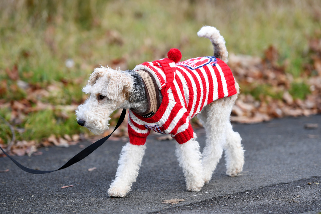 Без коментар.