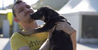 Ботев Пловдив с благородна инициатива в помощ на бездомни кученца