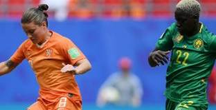 Холандия - Камерун 3:1