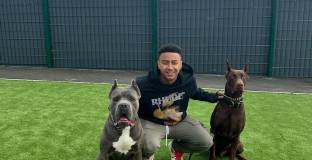 Обвиниха Лингард в жестокост към животните