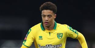 Норич отхвърли предложението на Ливърпул за Луис