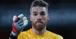 Са вярва, че Уулвс ще попадне в ШЛ