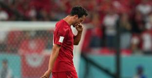 Дилейни повече няма да играе на Световното 