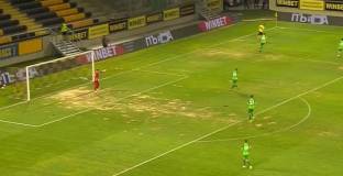 Община Пловдив даде предписание за тревата на 