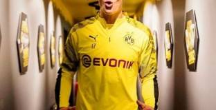 Холанд: Кой ще спечели 