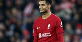  Ван Дайк: Гакпо може да замени Фирмино