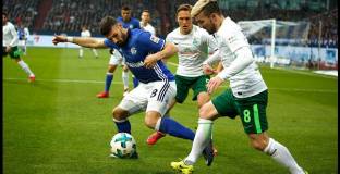 Късните хитове на Бременските музиканти не се понравиха на Шалке (видео)