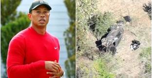 Стабилизирали Уудс с пирони и винтове